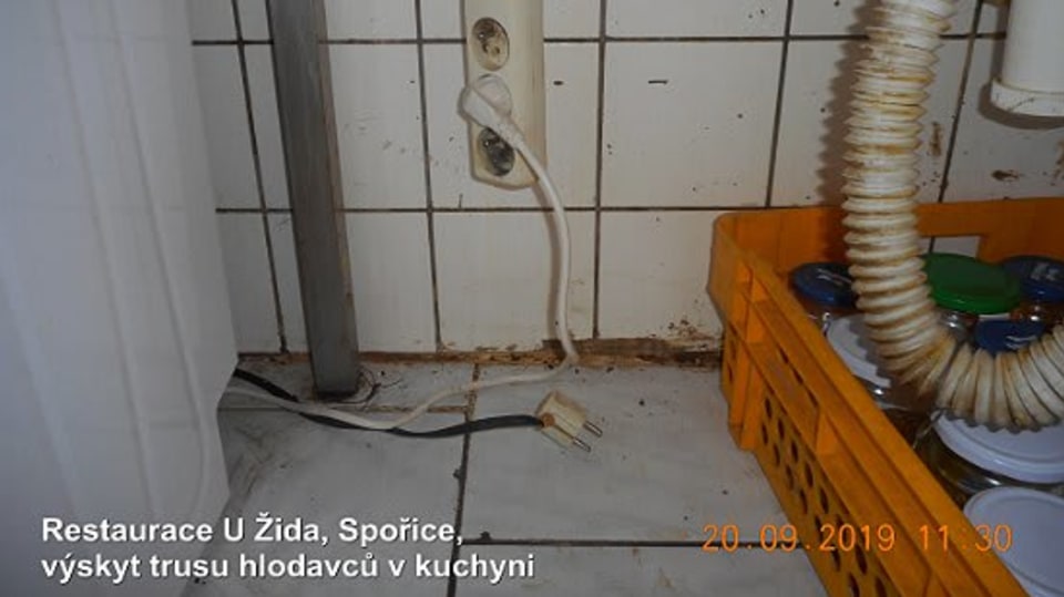 Restaurace U Žida - v provozně byl trus hlodavců